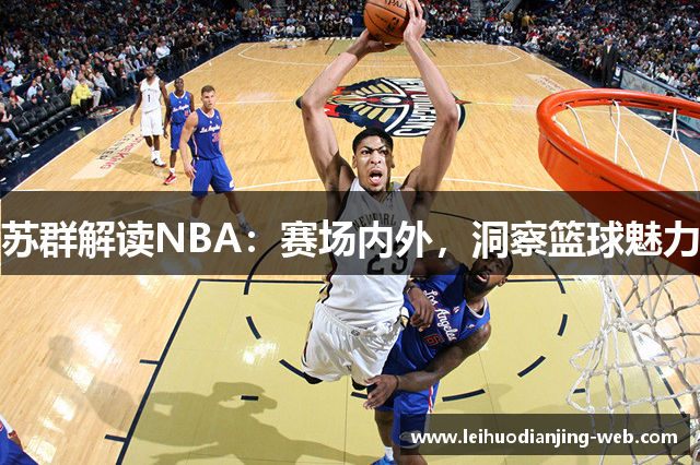 苏群解读NBA：赛场内外，洞察篮球魅力