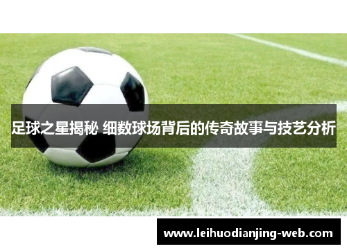 足球之星揭秘 细数球场背后的传奇故事与技艺分析